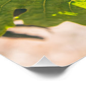 Poster Napa, Californie (Coin)