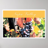 Poster Napa Valley (Devant)