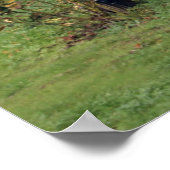 Poster Napa-wijngaarden (Hoek)