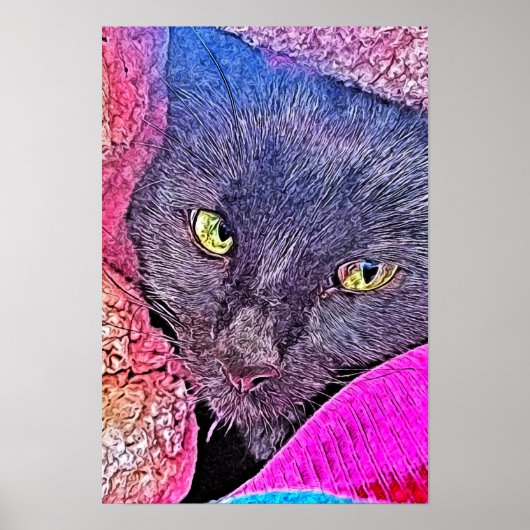 Poster Napoléon dans une couverture (Devant)