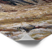 Poster Napoléon en campagne en 1814, 1864 (Coin)