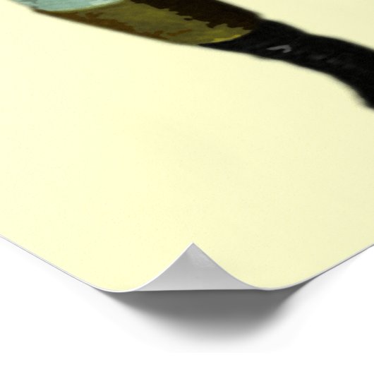 Poster Napoléon est Dynamite ! (Coin)