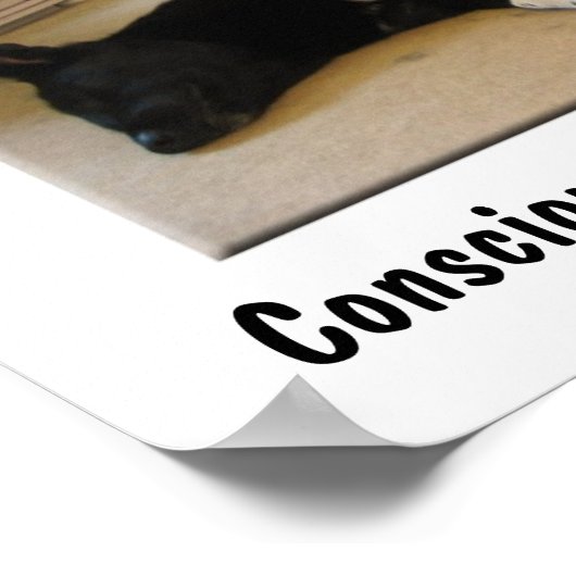 Poster Nappage. (Coin)