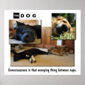 Poster Nappage. (Devant)