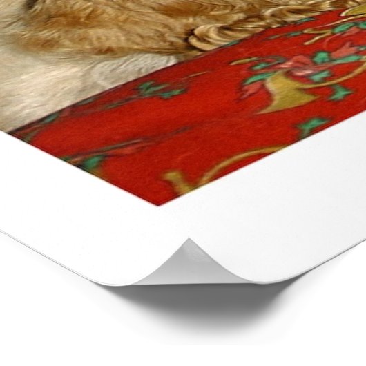 Poster Nappage (Coin)