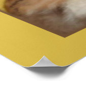 Poster Nappers (Coin)