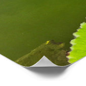 Poster Nappes d'eau violette sur l'étang vert (Coin)