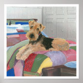 Poster Naptime (Devant)