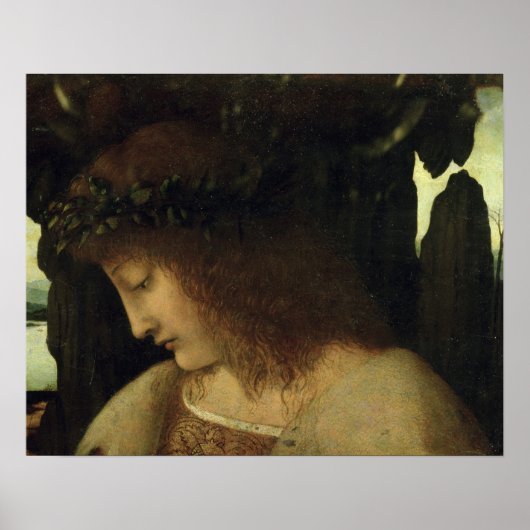 Poster Narcissus (Devant)