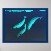 Poster Narwhal (Devant)