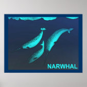 Poster Narwhal (Devant)