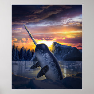 Poster Narwhal Unicorn