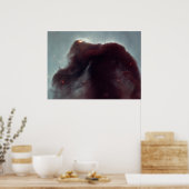 Poster NASA - La nébuleuse à tête de cheval (Cuisine)