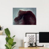 Poster NASA - La nébuleuse à tête de cheval (Bureau à domicile)