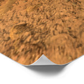 Poster NASA / Persévérance ici / : ) / (Coin)