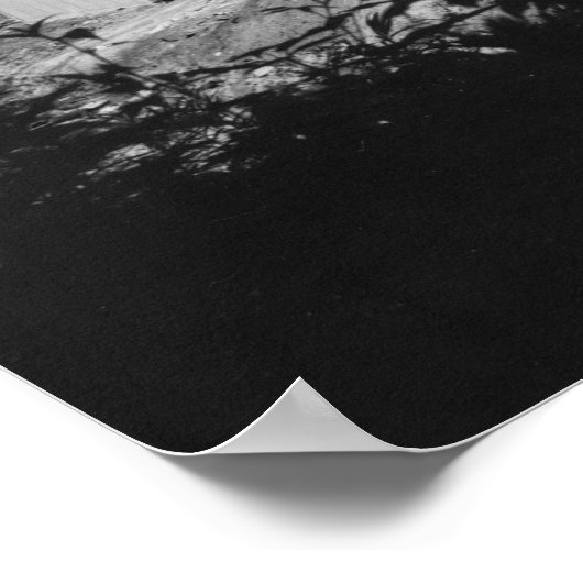 Poster NASA Rocket Engine Testing, 1960s (Coin)