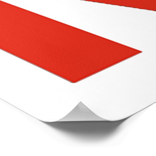 Poster NASA Worm (Snake) Logo (Coin)