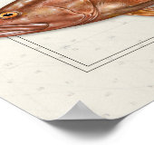 Poster Nassau, Goliath, and Red Grouper (Coin)