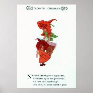 Poster Nasturtium