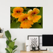 Poster Nasturtiums (Bureau à domicile)