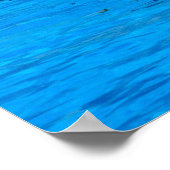 Poster Natation avec les dauphins en Espagne (Coin)