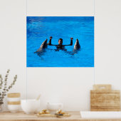 Poster Natation avec les dauphins en Espagne (Cuisine)