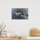 Poster Natation des dauphins (Cuisine)