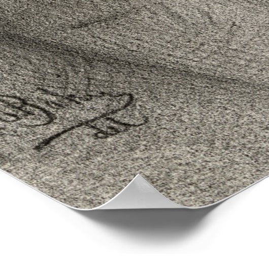 Poster Nathaniel Hawthorne (Coin)