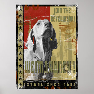 Poster Nation de Weimaraner : Weimaraner vintage