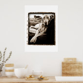 Poster Nation Weimaraner : "La Chaise de Ballou" (Cuisine)