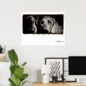 Poster Nation Weimaraner : "Un regard réfléchi" (Bureau à domicile)