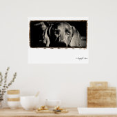 Poster Nation Weimaraner : "Un regard réfléchi" (Cuisine)