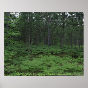 Poster / Nationale afvalstortplaats van Michigan