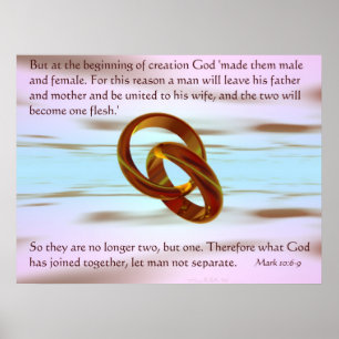 Poster Nations Unies