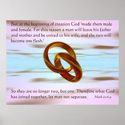 Poster Nations Unies (Devant)