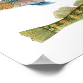 Poster Native Darters (Coin)