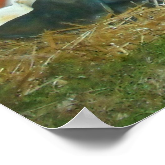 Poster Nativité (Coin)