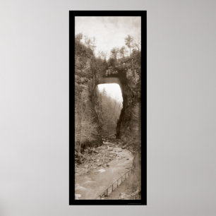 Poster Natural Bridge VA Photo 1909