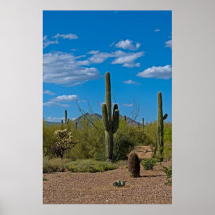 Poster Natural Cactus Landscape 3994