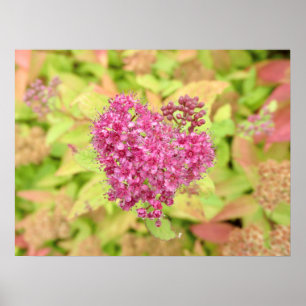 Poster Natural Flower Heart - percé par la flèche.