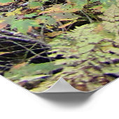 Poster Nature (Coin)