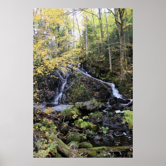 Poster Nature (Devant)