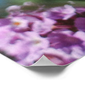 Poster Nature (Coin)