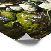 POSTER NATURE (Coin)