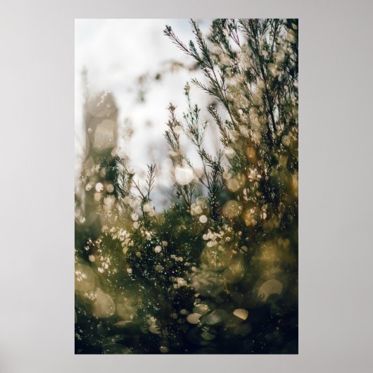 POSTER NATURE (Devant)