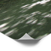 Poster Nature (Coin)