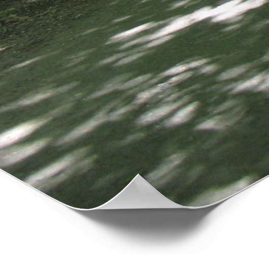 Poster Nature (Coin)