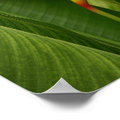 Poster Nature (Coin)