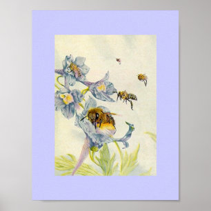 Poster Nature Abeilles de miel et le matin Fleurs de gloi