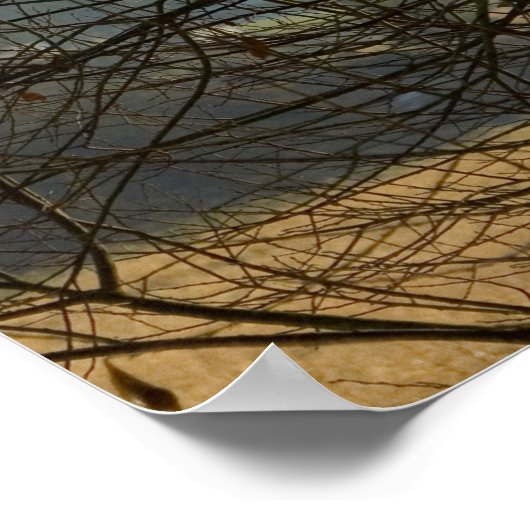 Poster Nature Abstraite (Coin)